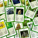 420Cards Cannabis-Quartett - Cannamania.de